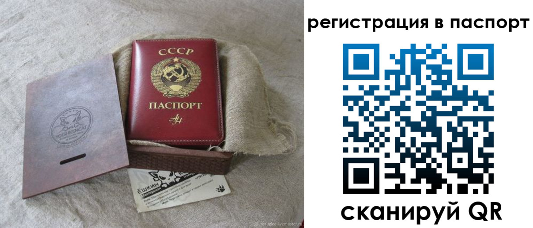прописка регистрация в Далматово